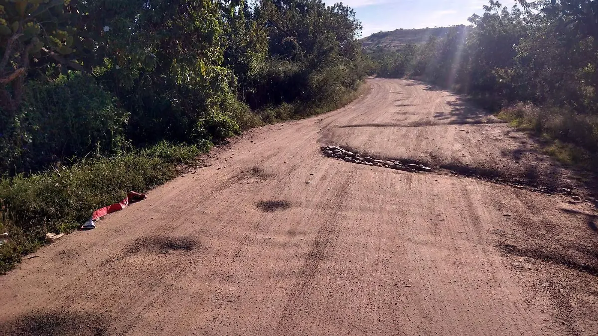 Productores en Irapuato están buscando la manera de subsistir
