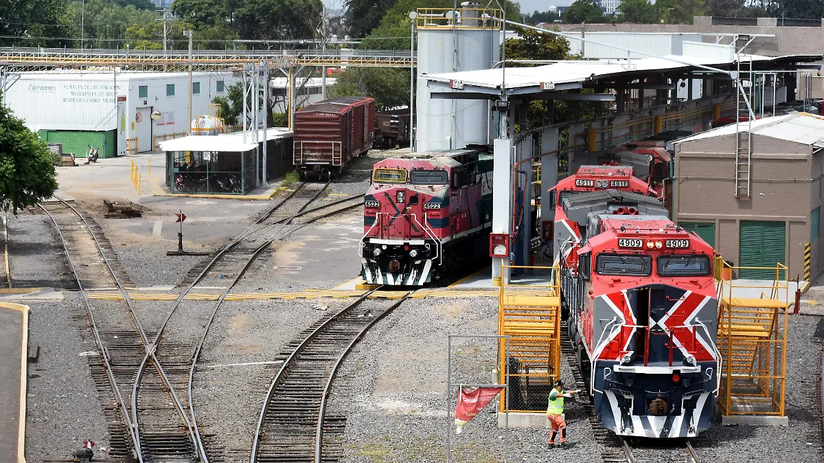 Lorena-Alfaro-García