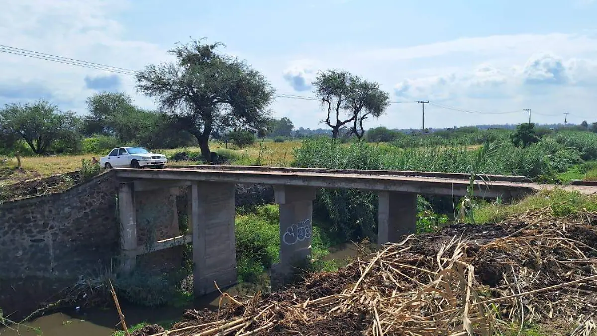 Carrizalito Puente y  Comunidad  (1)