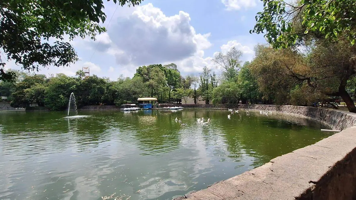 Feria ambiental en el zooira (7)