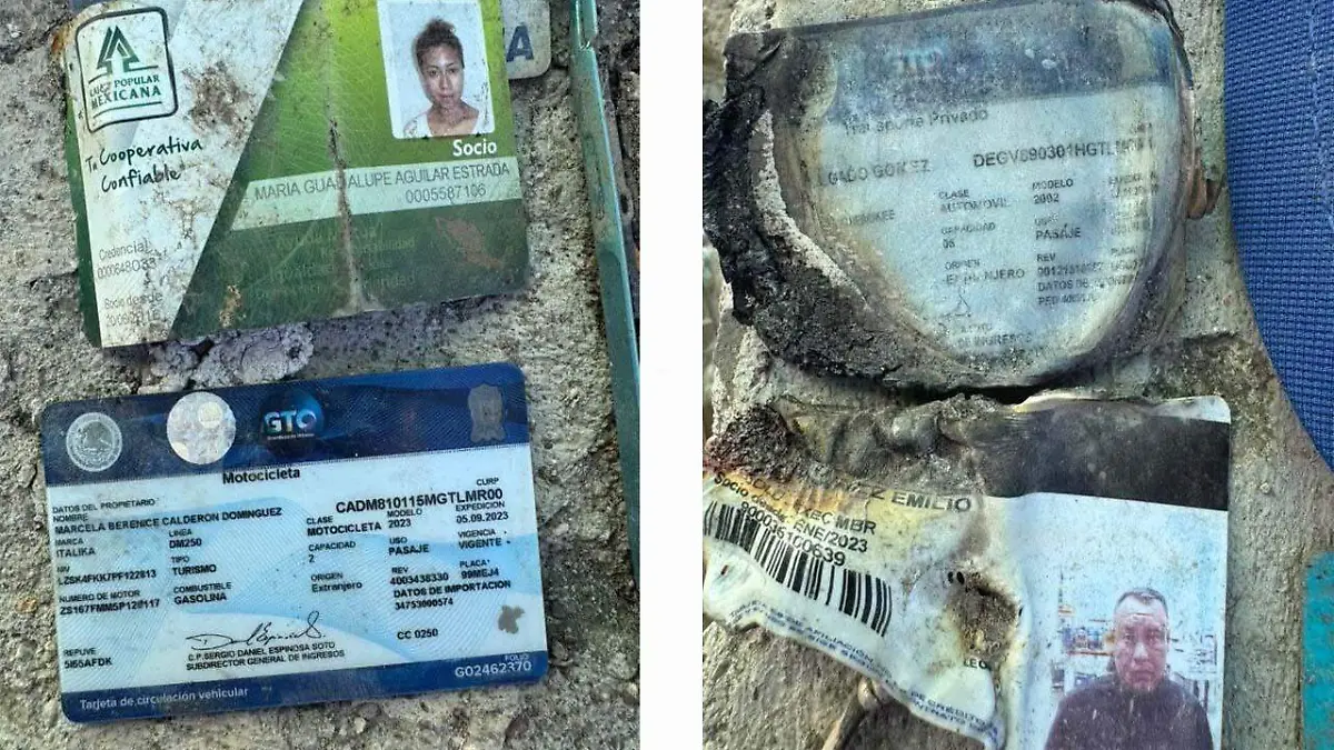 Identificaciones 1