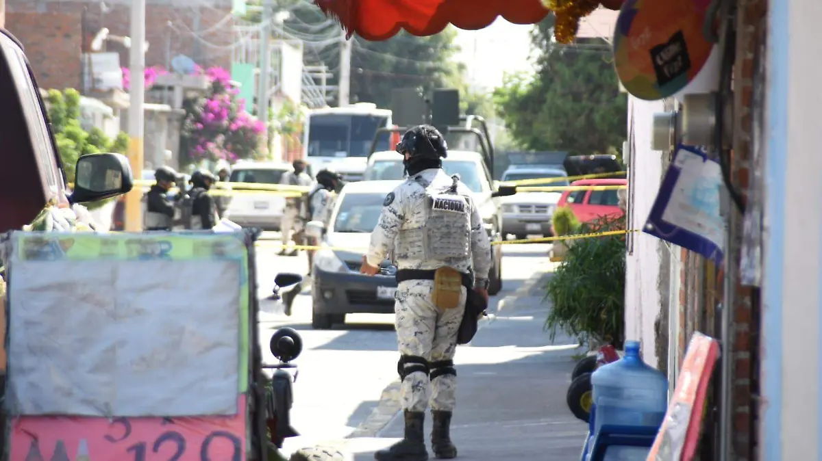 Fuerzas-de-seguridad-iniciaron-las-investigaciones 