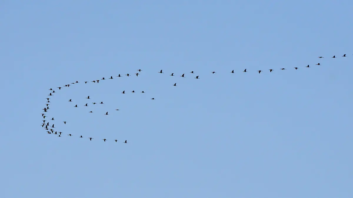 Parque Ecológico de Irapuato