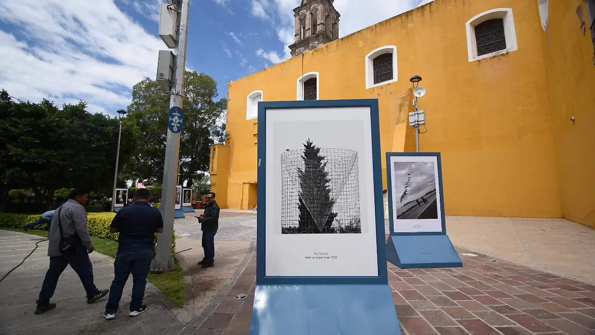 Exposición-en-Plaza-del-artísta 