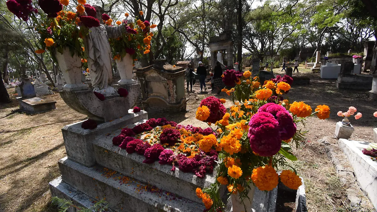 Te molestan los mosquitos