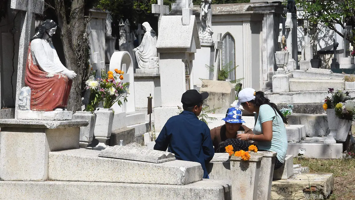 Te molestan los mosquitos