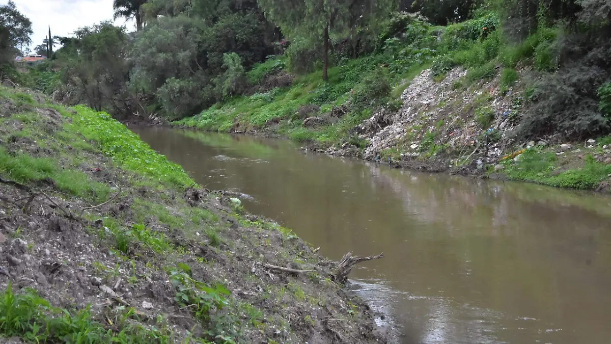 Productores de Irapuato