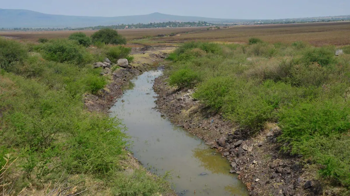 Gobernadora de Guanajuato