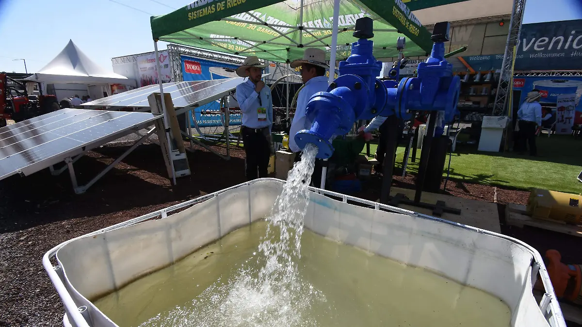 Hectareas-productivas