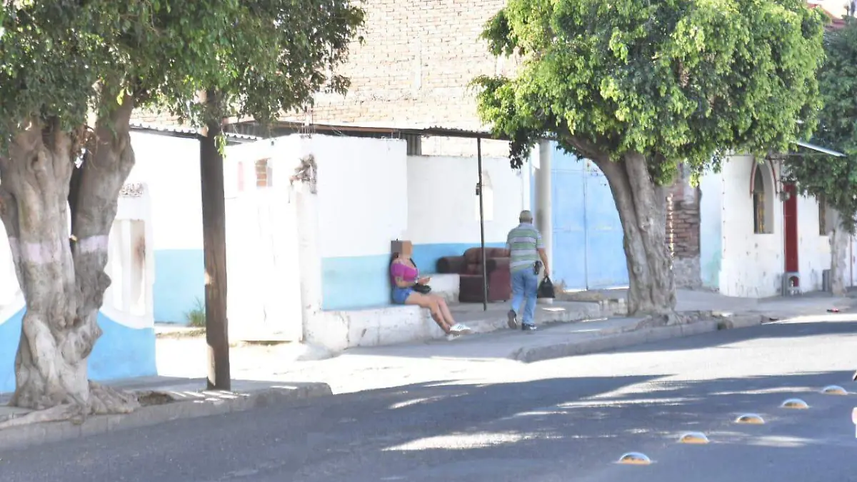 Tren de Pasajeros en Irapuato