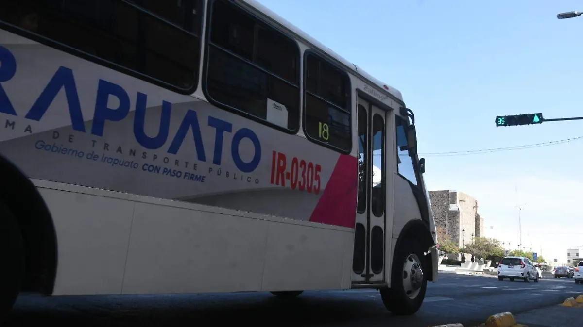 Más-allá-de-su-función