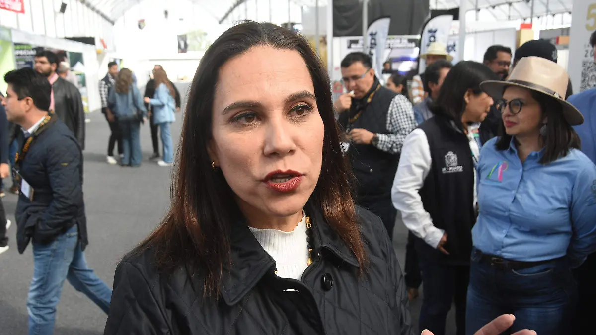 Gobierno de Irapuato ha sufrido intentos de vulneracion sistemas de ciberseguridad lo evitaron (3)