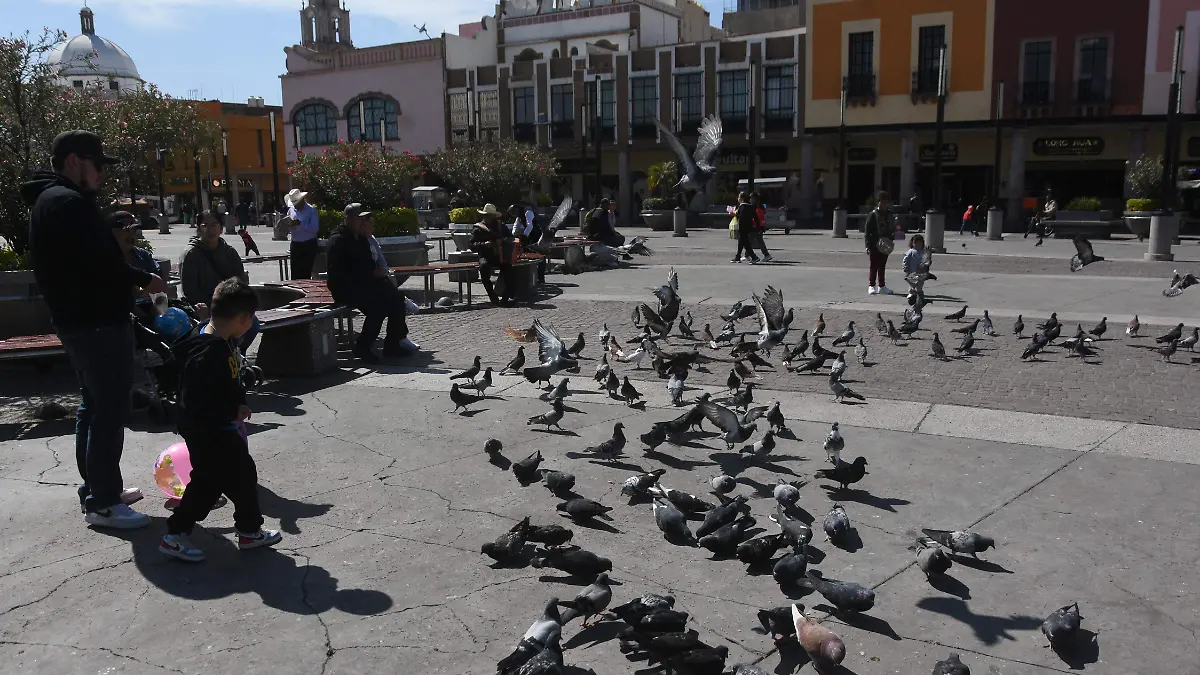 Irapuato se prepara