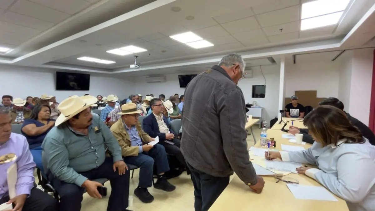 Representantes-del-Movimiento