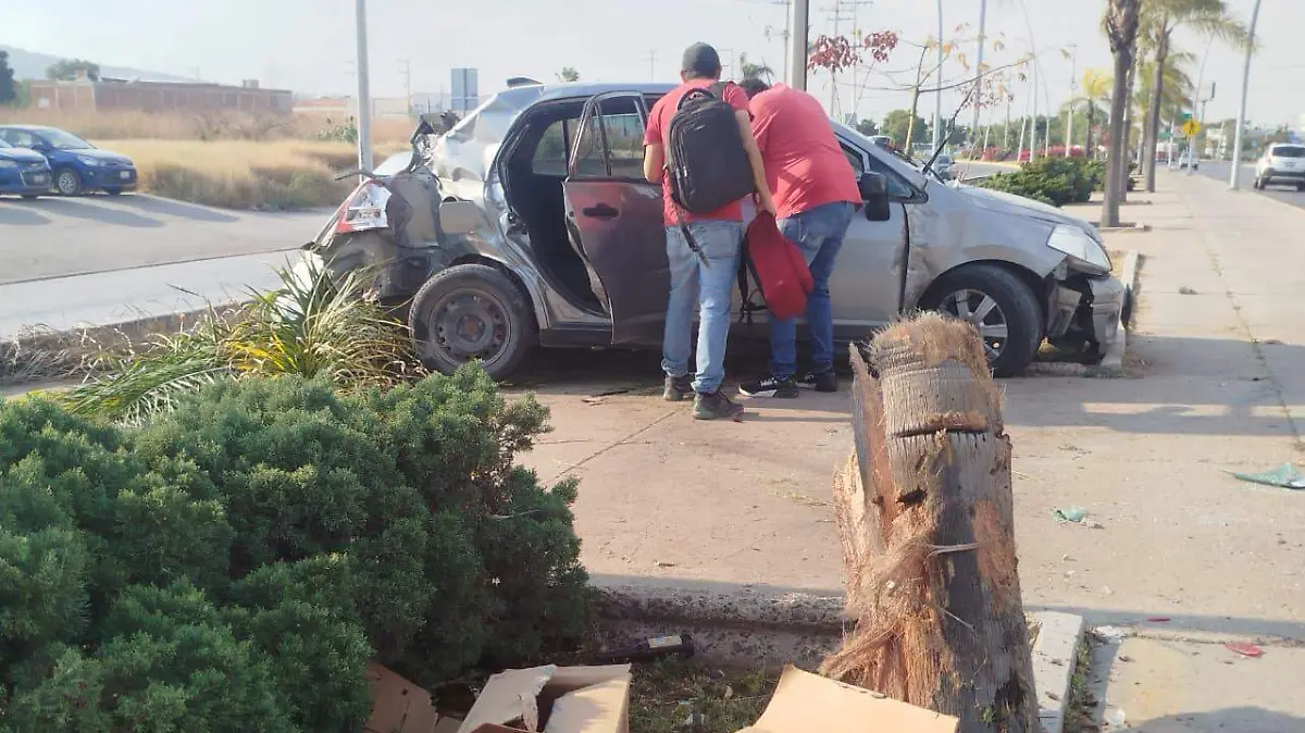 WhatsApp Image 2025-11-20 at 17.43.58