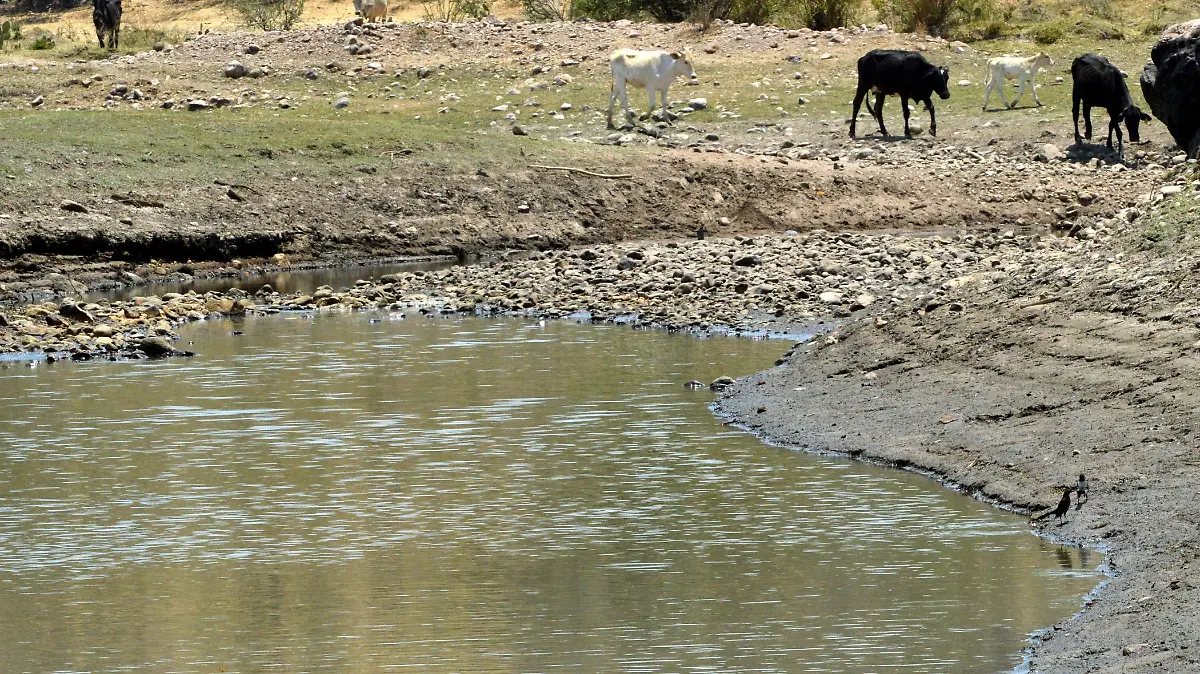 Acueducto Solis - León no contempla impactos hidroecológicos por obras secundarias: CIAG