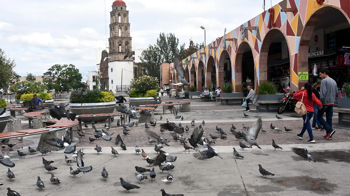 Irapuato 