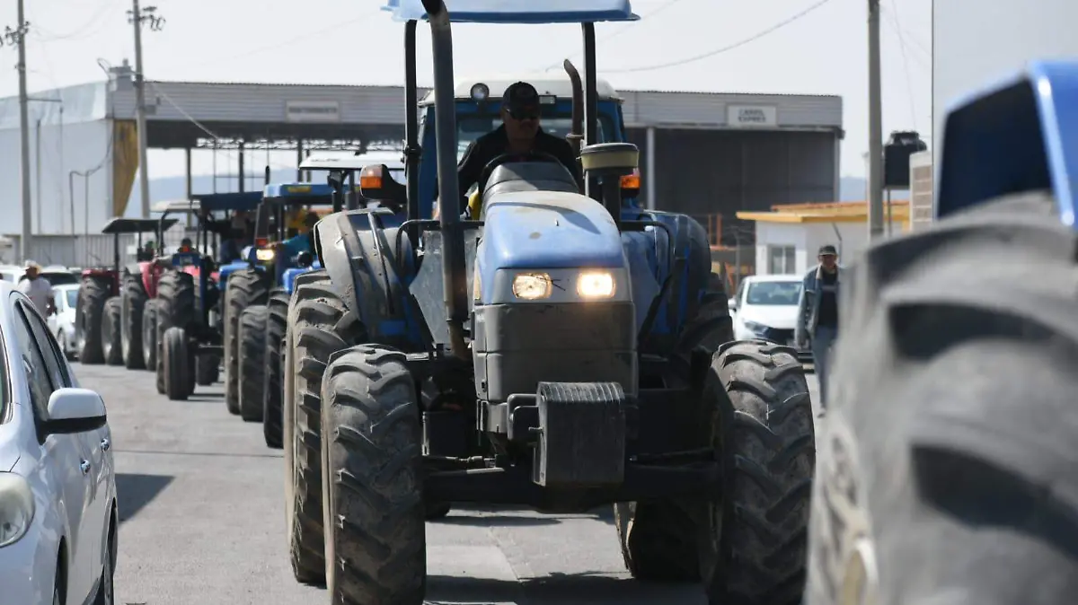 WhatsApp Image 2025-11-24 at 12.49.46