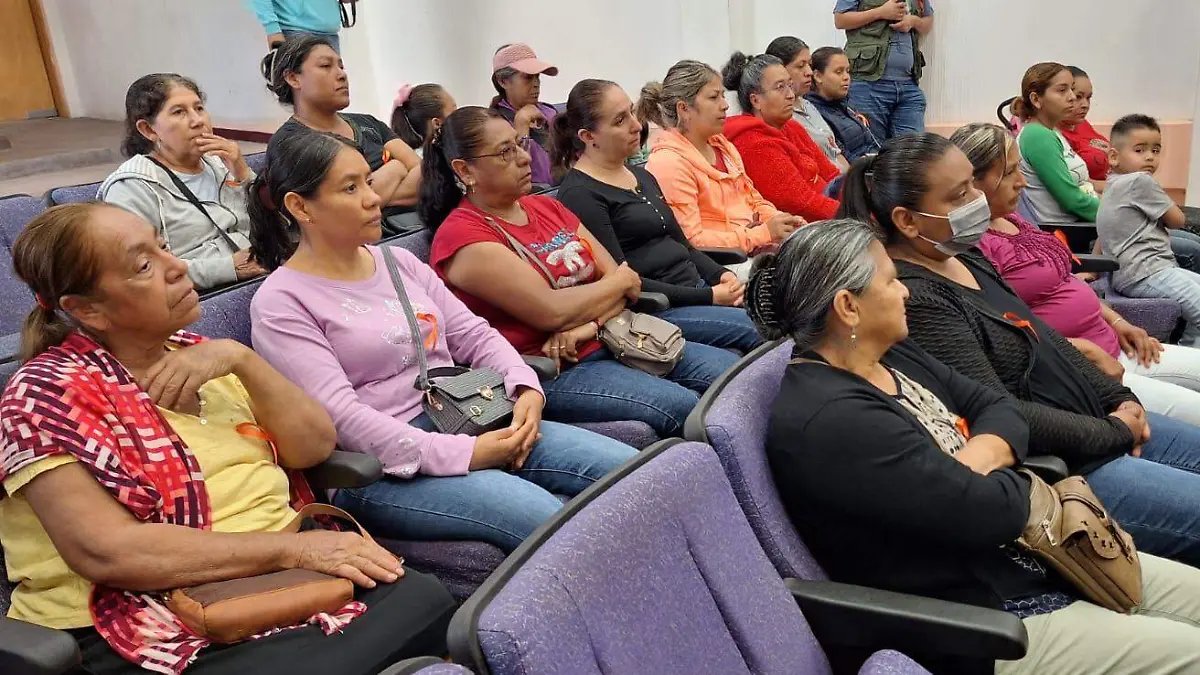 Huanimaro Eliminacion Violencia Mujer Laura Villalpando 