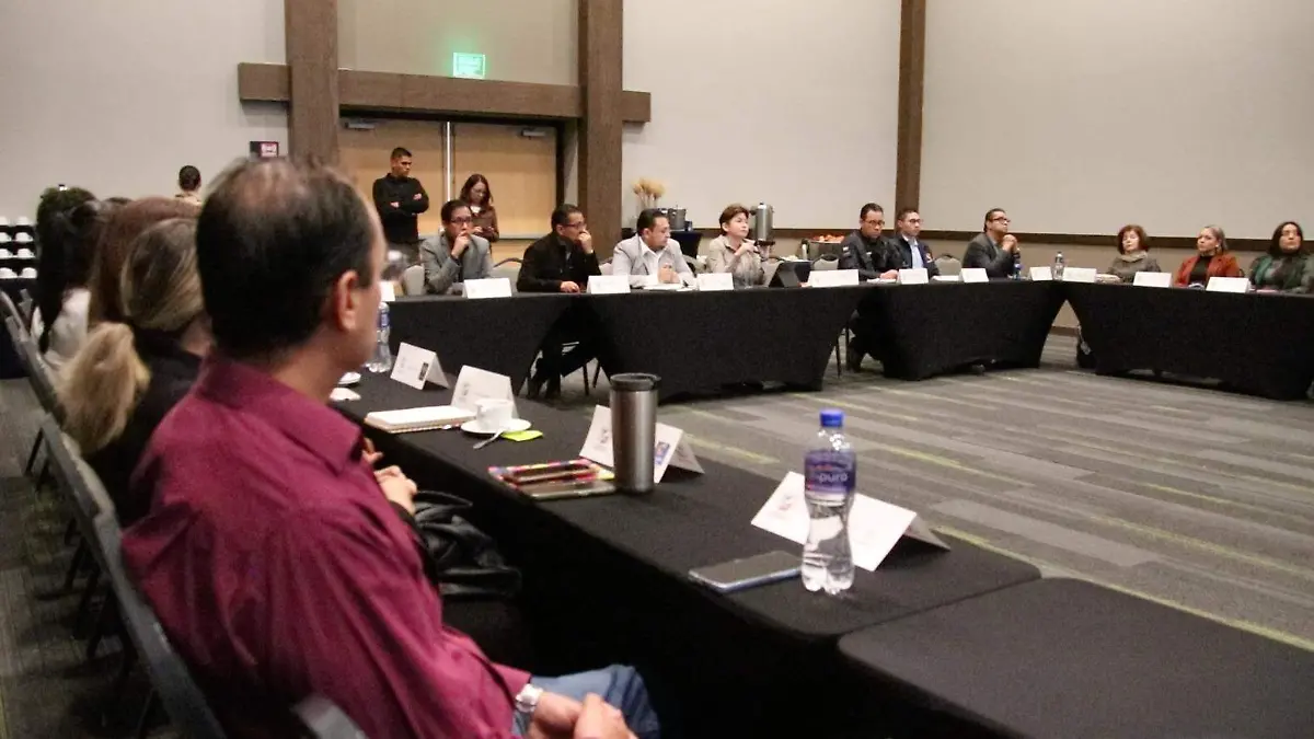 Seguridad en Irapuato