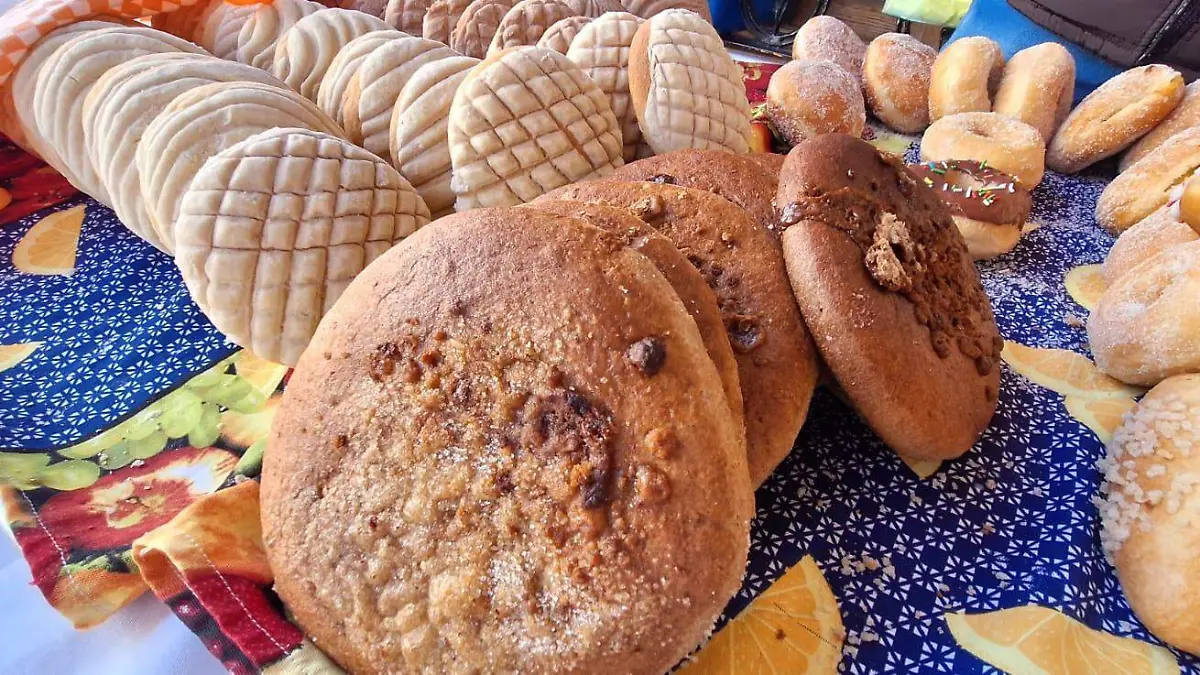 Las cemas, son el orgullo para la familia Jaime