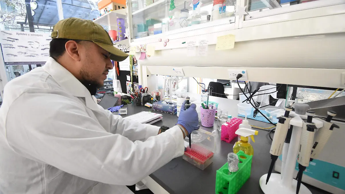 Unidad de genomica avanzada Jesus Gutierrez El Sol de Irapuato (1)