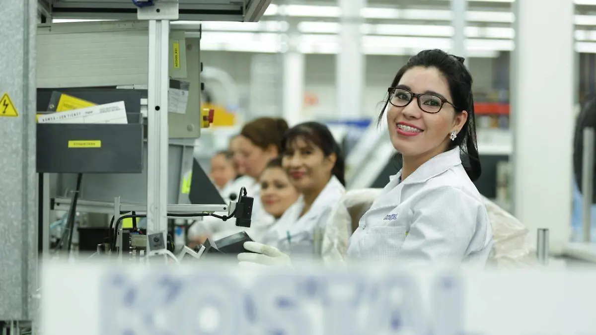 La apuesta fuerte del estado