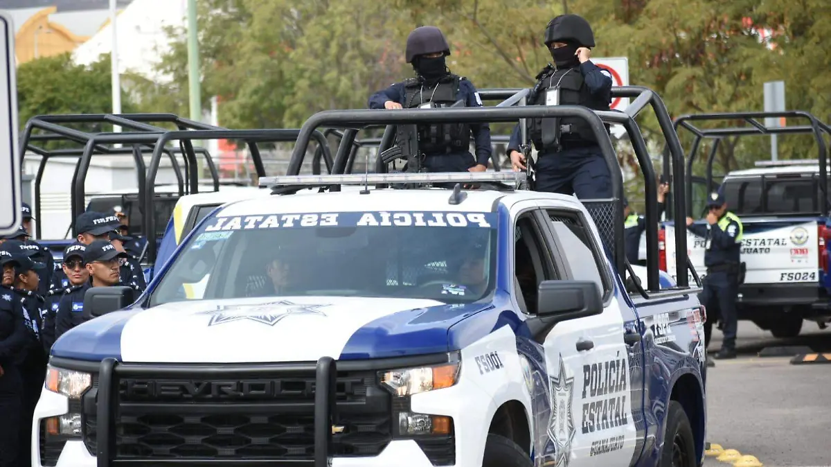 Las-células-estatales 