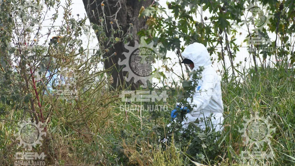 3f458436-fdd0-4626-b159-c2431f51d89e_watermarked