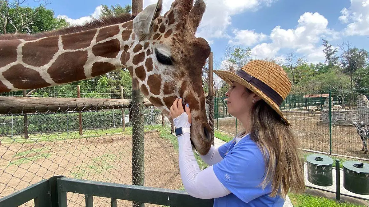 4daba3a4-cfdd-4ad2-b2dd-f5da495e3e62