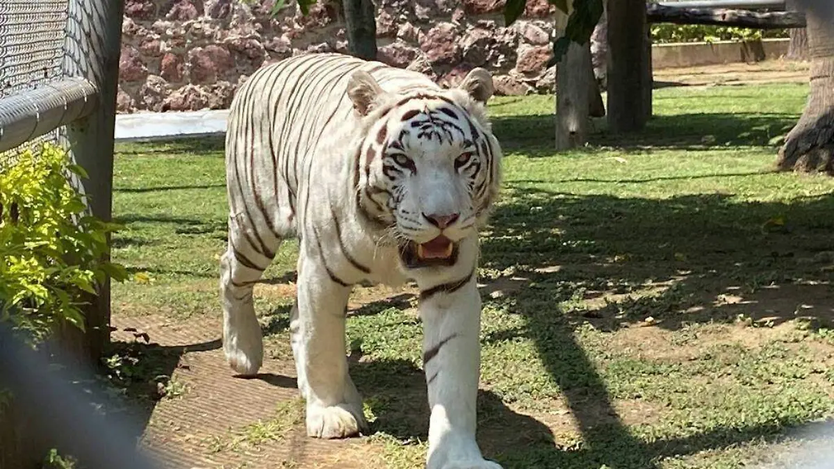 eb11249f-283a-44b6-bb36-08037837e575