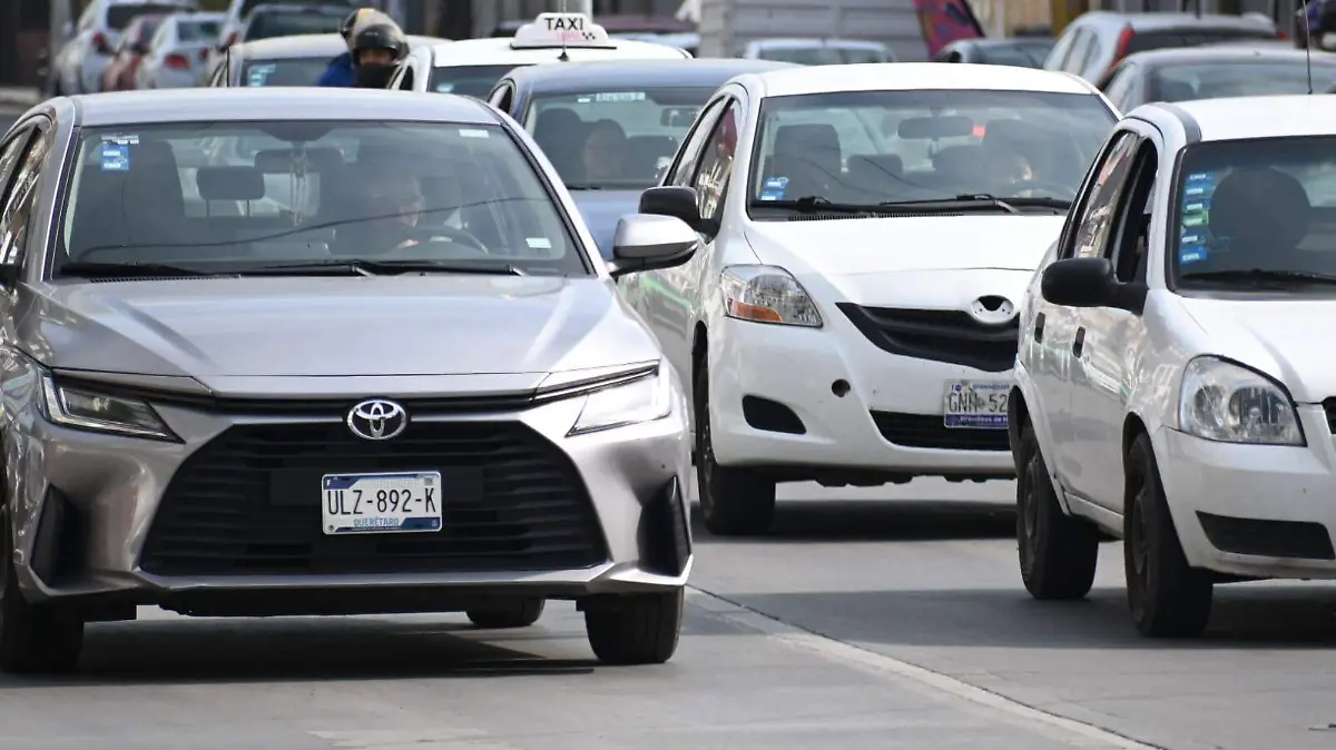 WhatsApp Image 2025-12-13 at 12.37.30 PM (2)