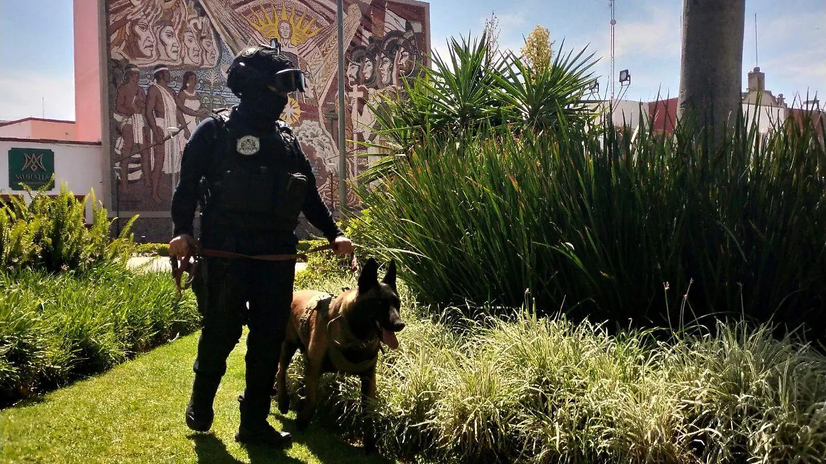 Destinaran a seguridad presupuestos no ejercidos en 2025 en Irapuato fortaleceran Policia Canina (2)