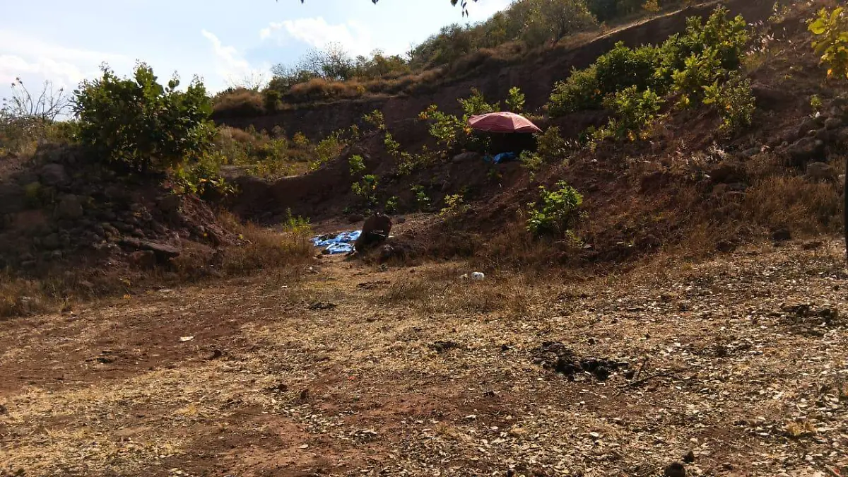 5b0af2d3-8469-4d4a-b469-3da3f175440b