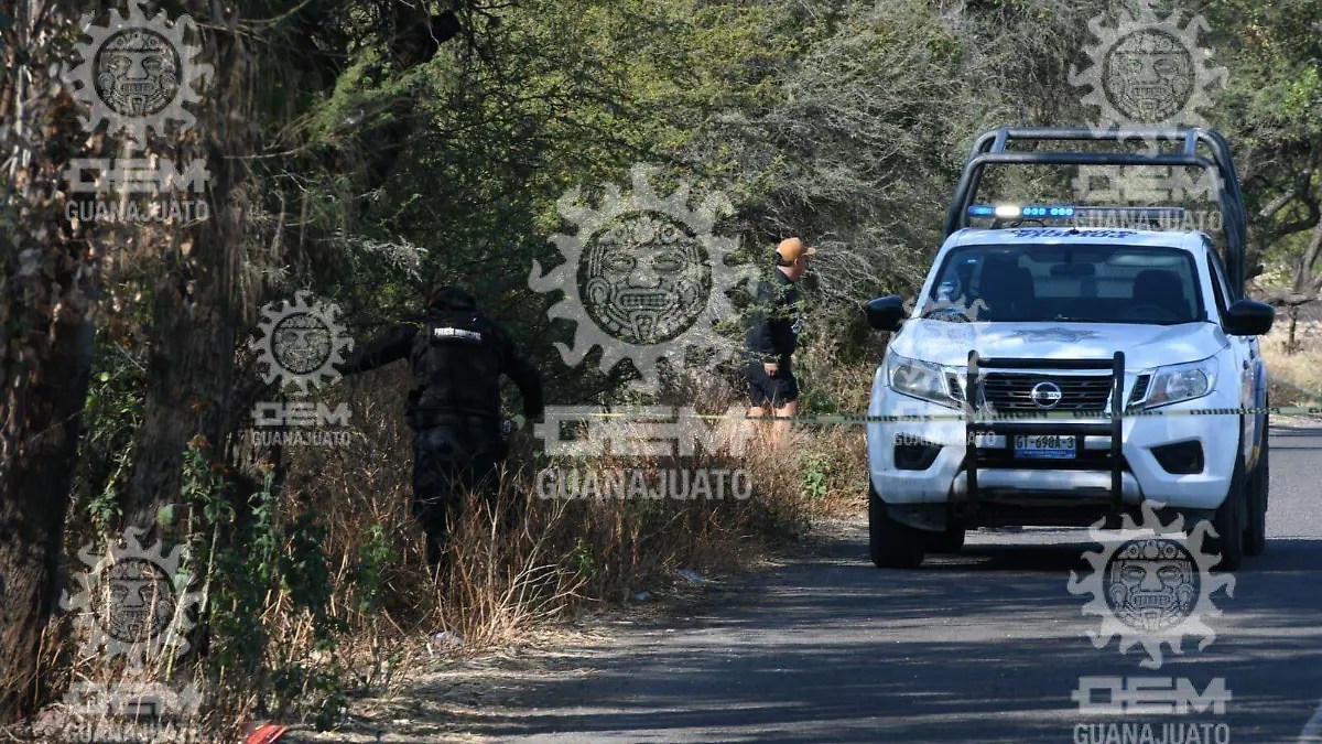 99c89300-aeca-4528-a49f-0dbea3f9d766_watermarked