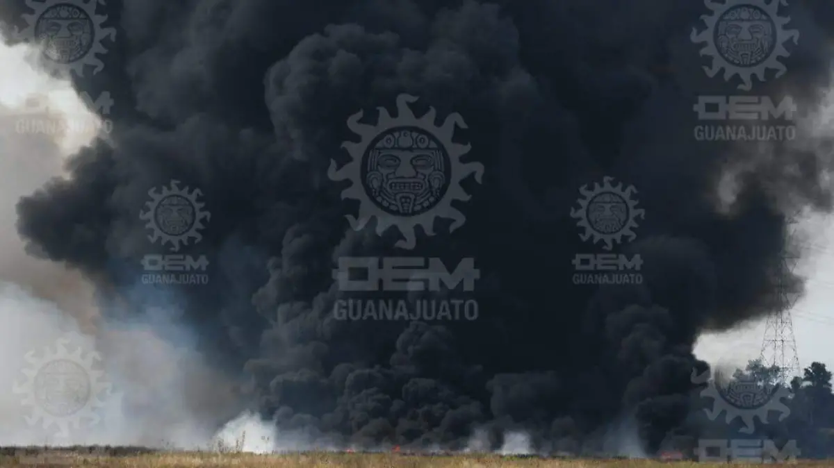 9854c8d4-697a-42d3-81b3-26f44ae5dee0_watermarked