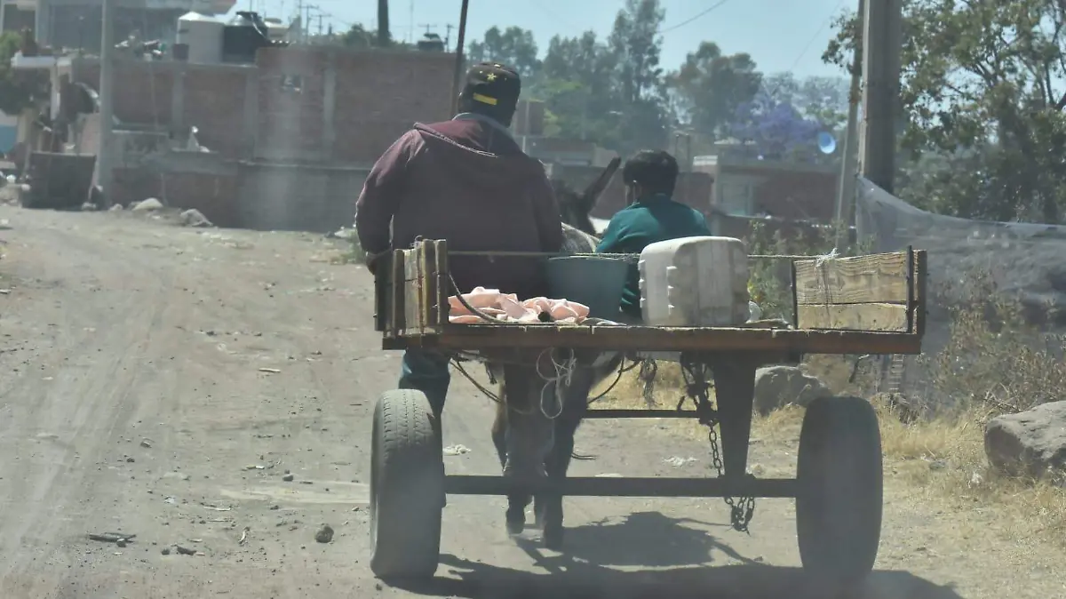 Falta de mano de obra mexicana