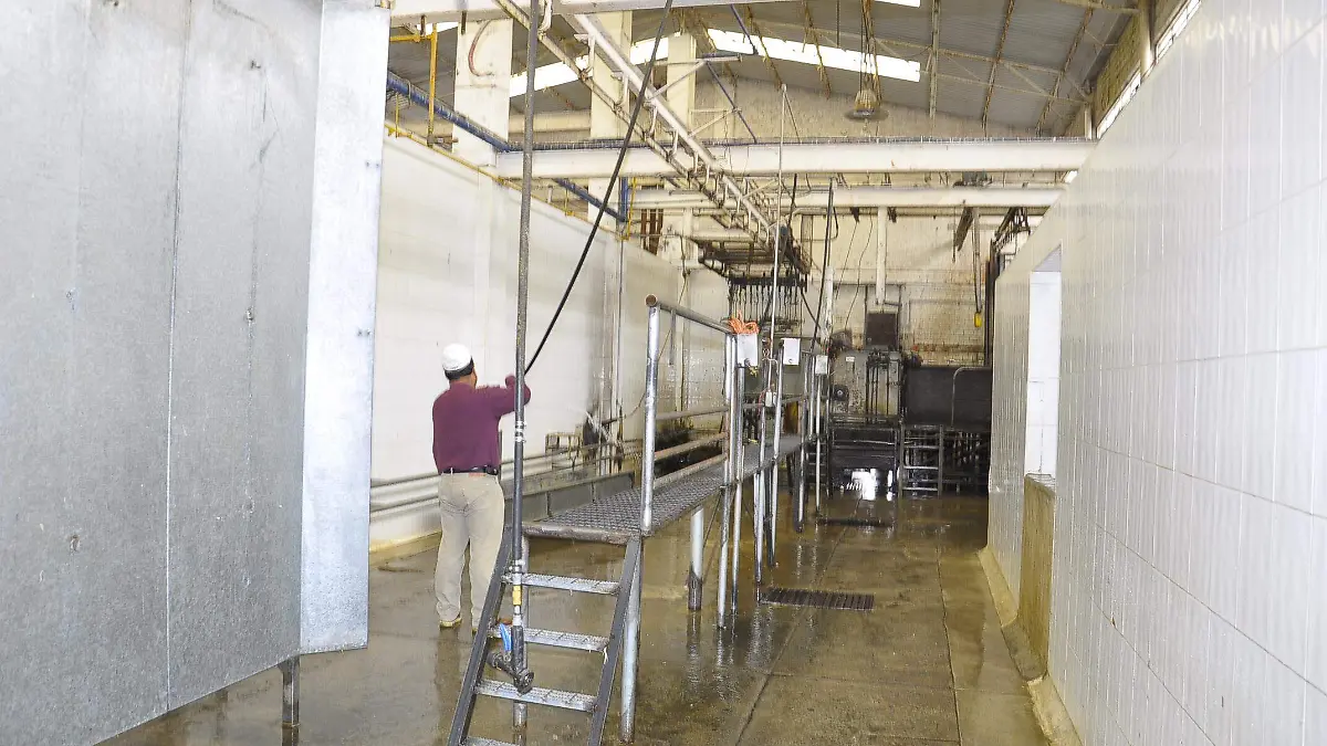 RASTRO, PANELES. LAMPARAS.- RICARDO SANCHEZ.- EL SOL DE IRAPUATO (3)