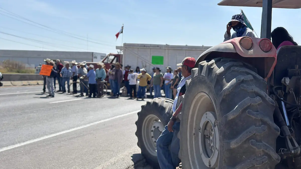 Campesinos-a-la-espectativa