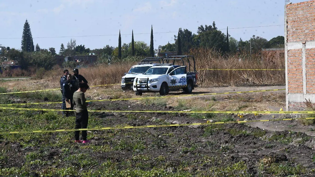 WhatsApp Image 2025-12-28 at 14.16.00