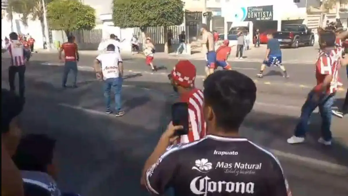 WhatsApp Image 2025-12-28 at 17.29.29