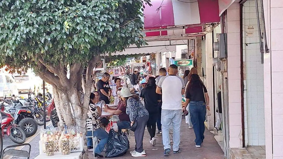 HUANIMARO Compras fin de año (2)