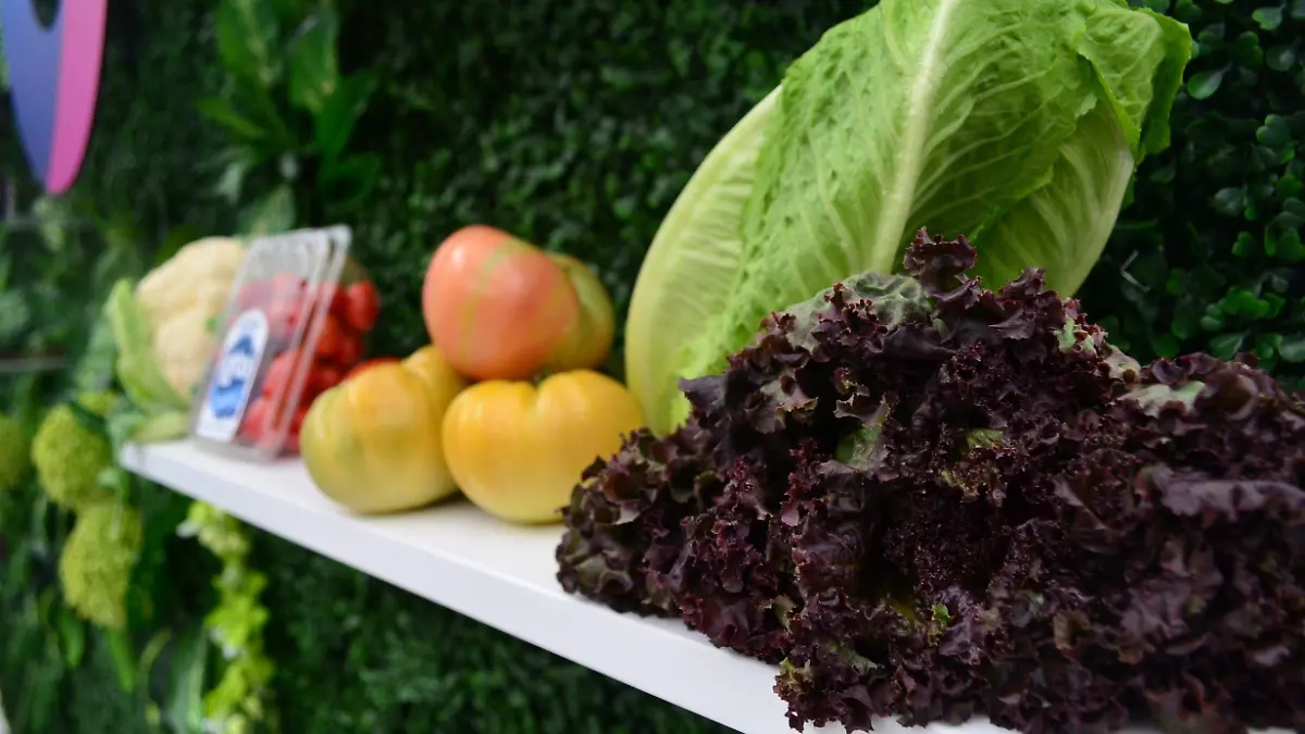 El-sector-agroalimentario 