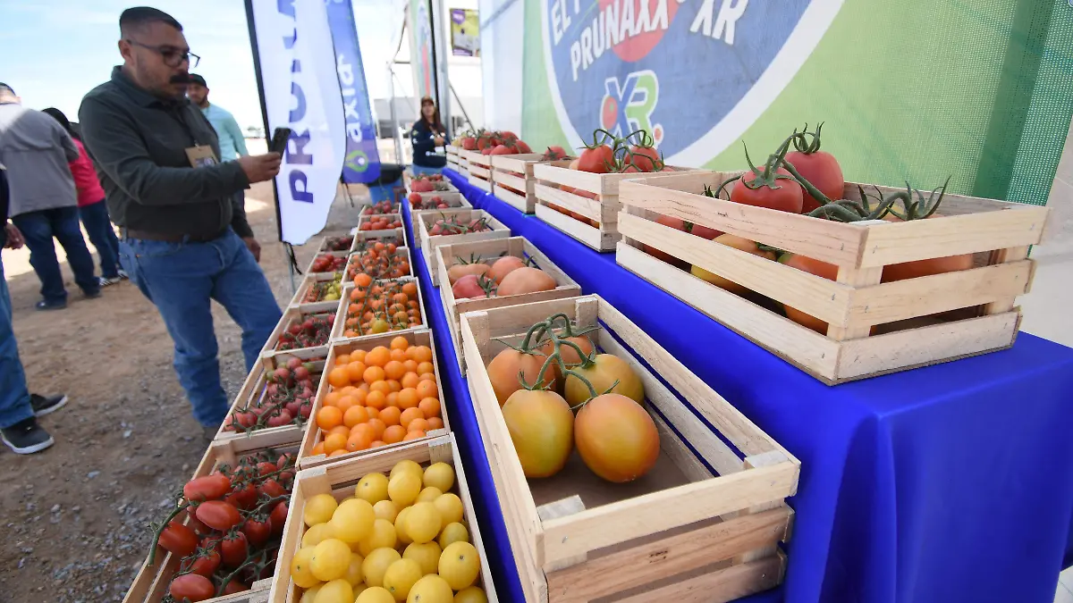 Alimentos exportan Jesus Gutierrez El Sol de Irapuato (2)