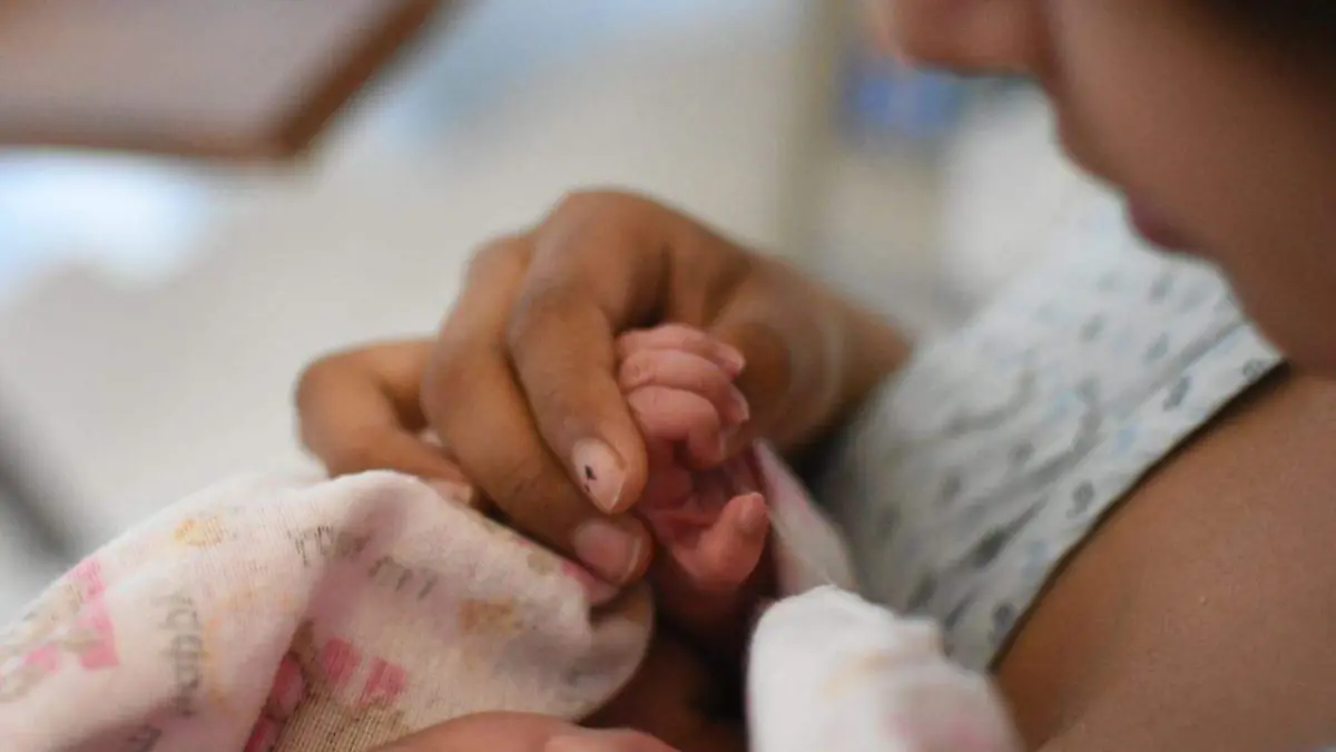 WhatsApp Image 2026-01-01 at 11.00.19 (1)