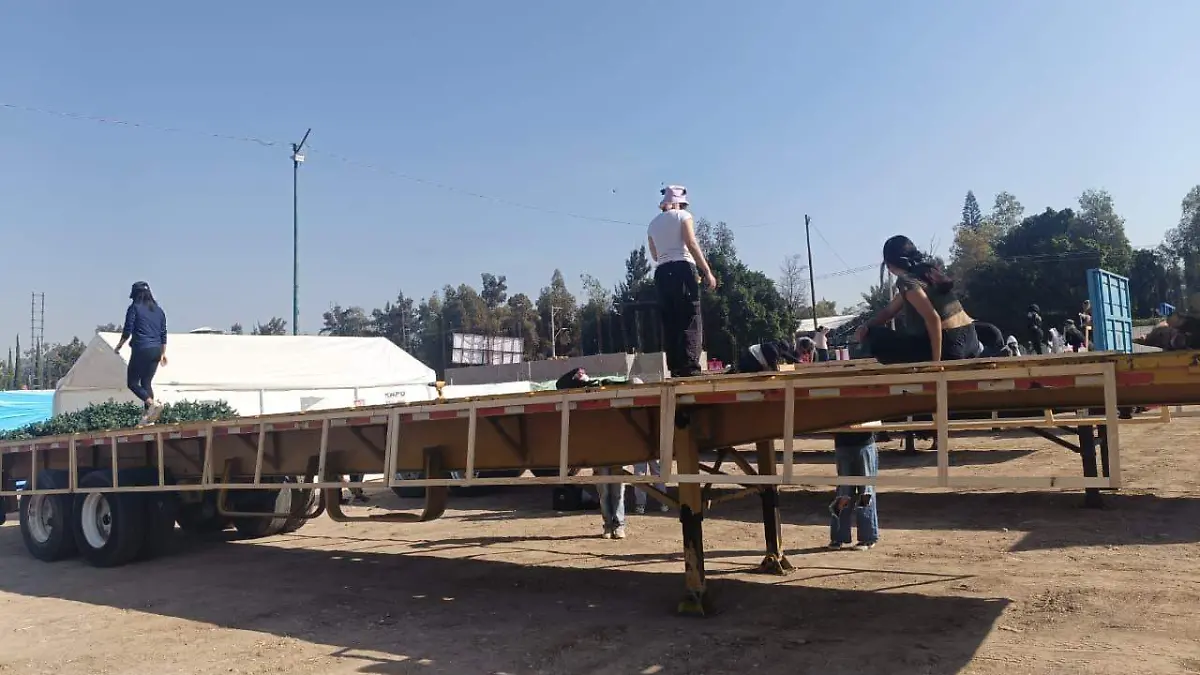 WhatsApp Image 2026-01-03 at 12.00.48 PM (3)