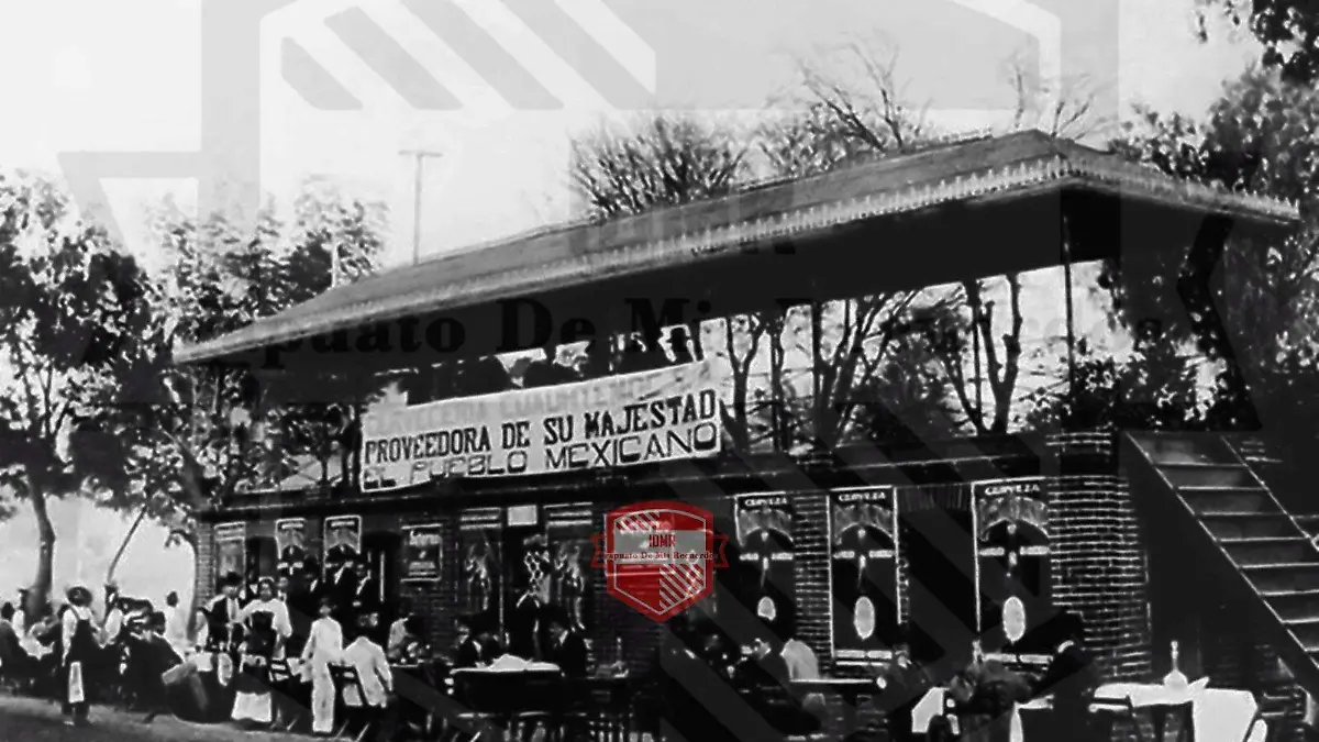 WhatsApp Image 2026-01-03 at 18.46.43