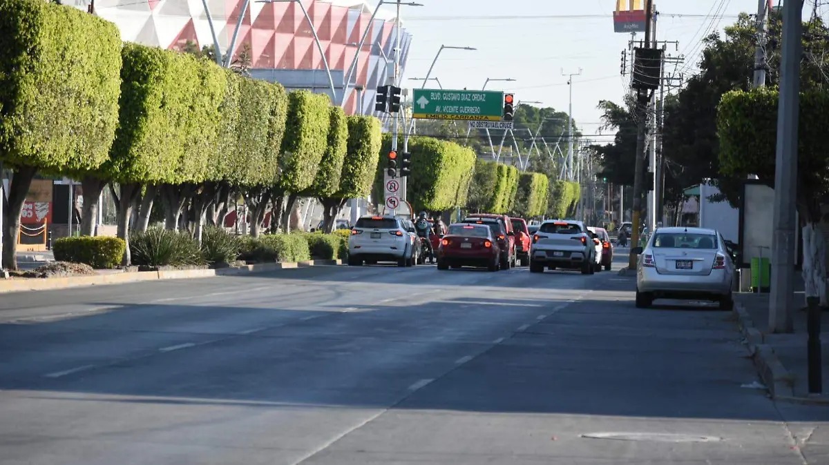 386dd23b-1db2-4fcb-88e0-85e8e0f7ee7f