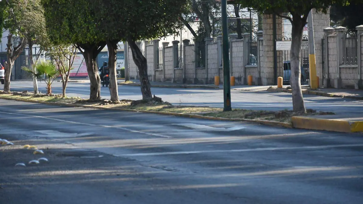 Cabalgata de reyes magos