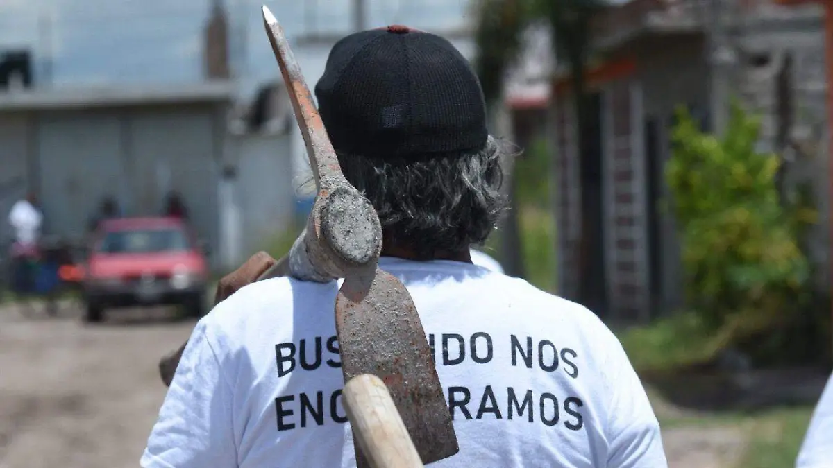 WhatsApp Image 2026-01-04 at 17.08.41